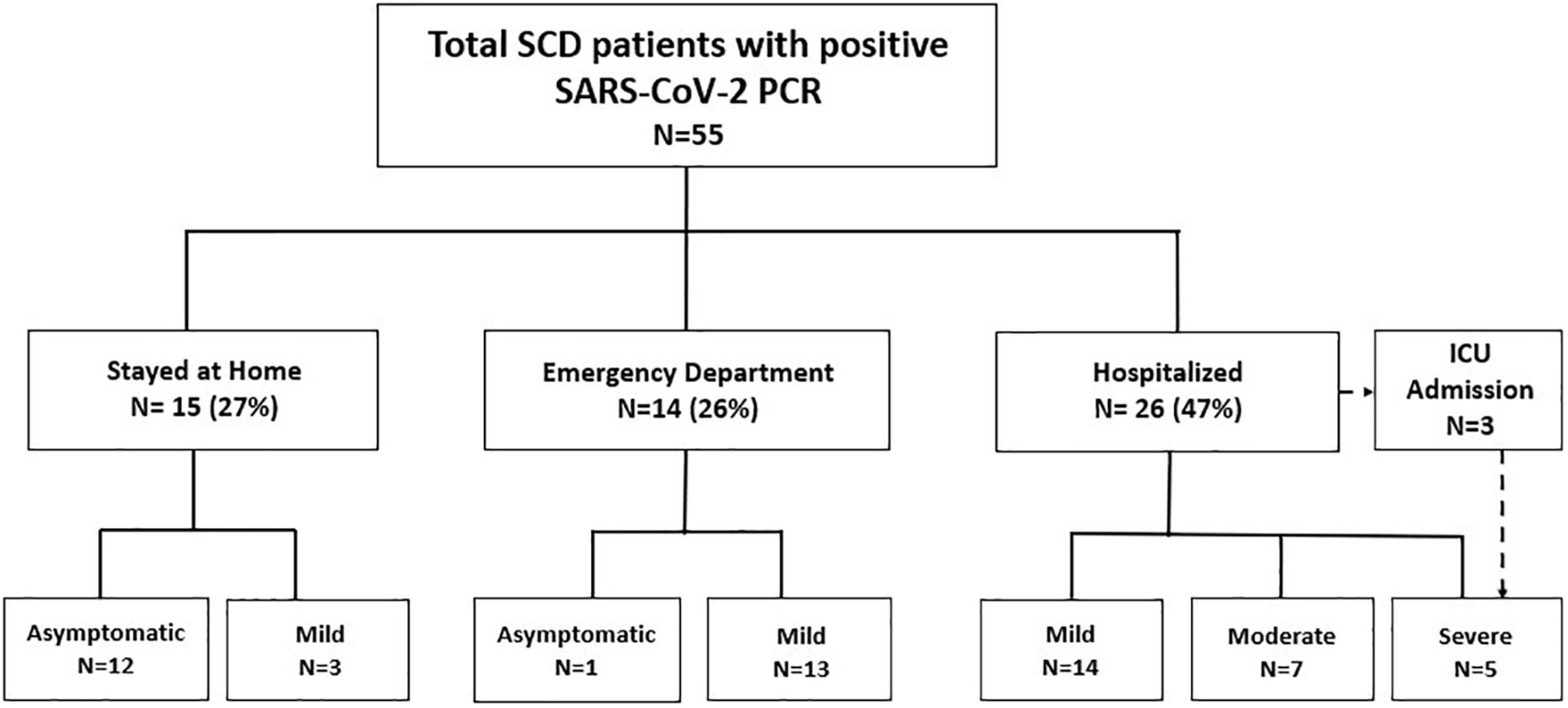 Clinical outcomes of children and adolescents with sickle cell disease and COVID-19 infection: A year in review at a metropolitan tertiary pediatric hospital